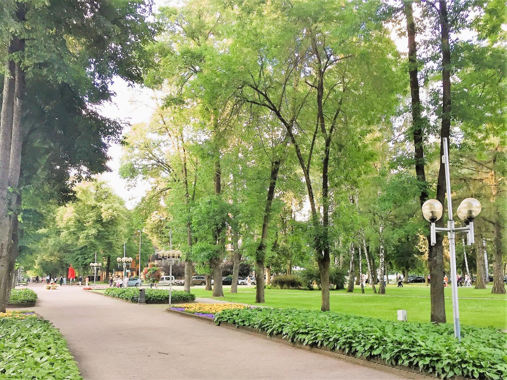 Apartment In The City Center Druskininkai Bagian luar foto